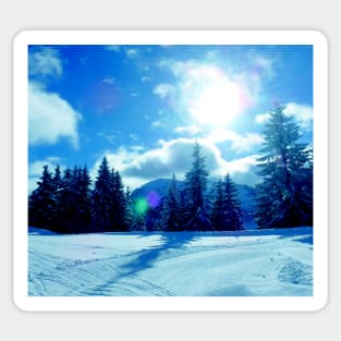 Blue sky, snow and trees Sticker